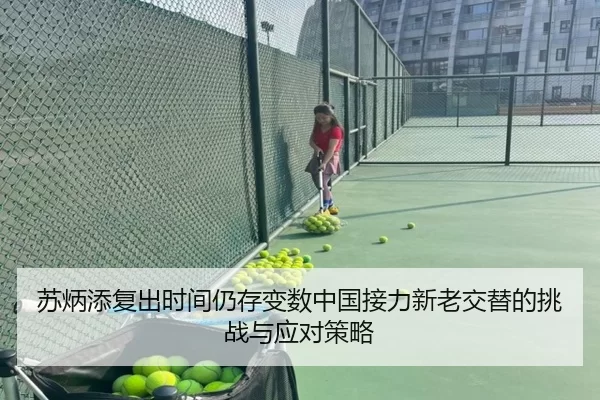 苏炳添复出时间仍存变数中国接力新老交替的挑战与应对策略
